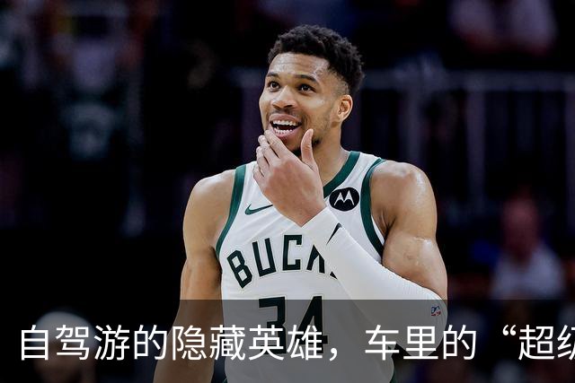 自驾游的隐藏英雄，车里的“超级助手”你发现了吗？